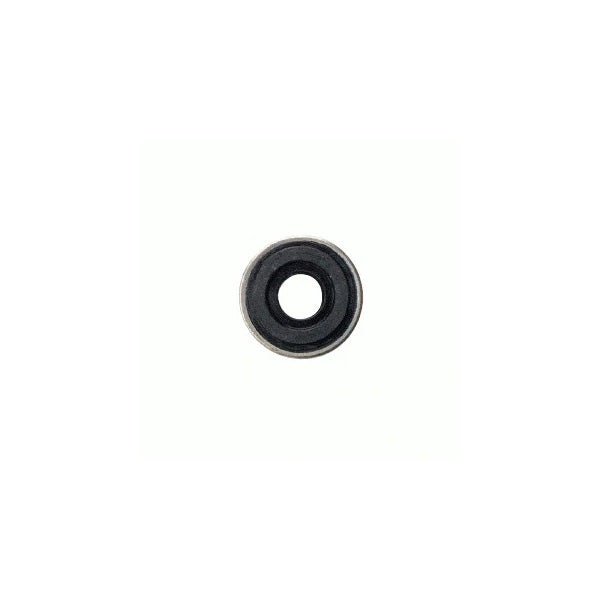 Seal Bodok